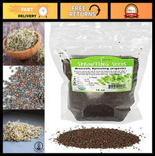 Organic Broccoli Sprouts Seeds - Non-GMO, 1 Lb for Sprouting Microgreens, High