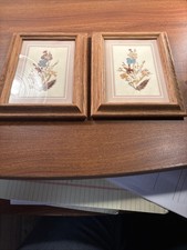 Vintage Pressed Dried Flowers Wood Frames Wall Art Framed Decor 9  x7  