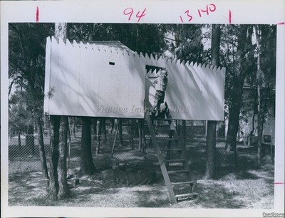 1968 Petersburg Mitchel Sharon Levean Tree House Historic Vintage Photo 6x8