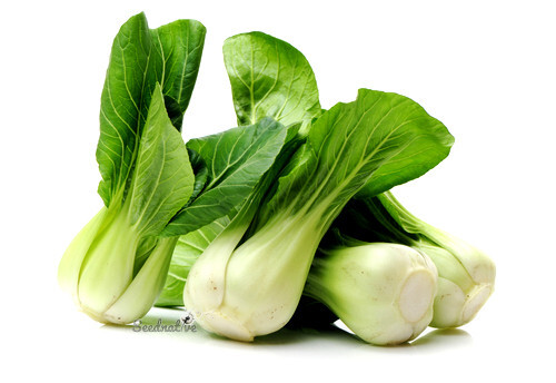 Brassica rapa chinensis - Pak choi - 1000 semillas - seeds - semi - graines Brassica rapa chinensis - Pak choi - 1000 semillas - seeds - semi - graines