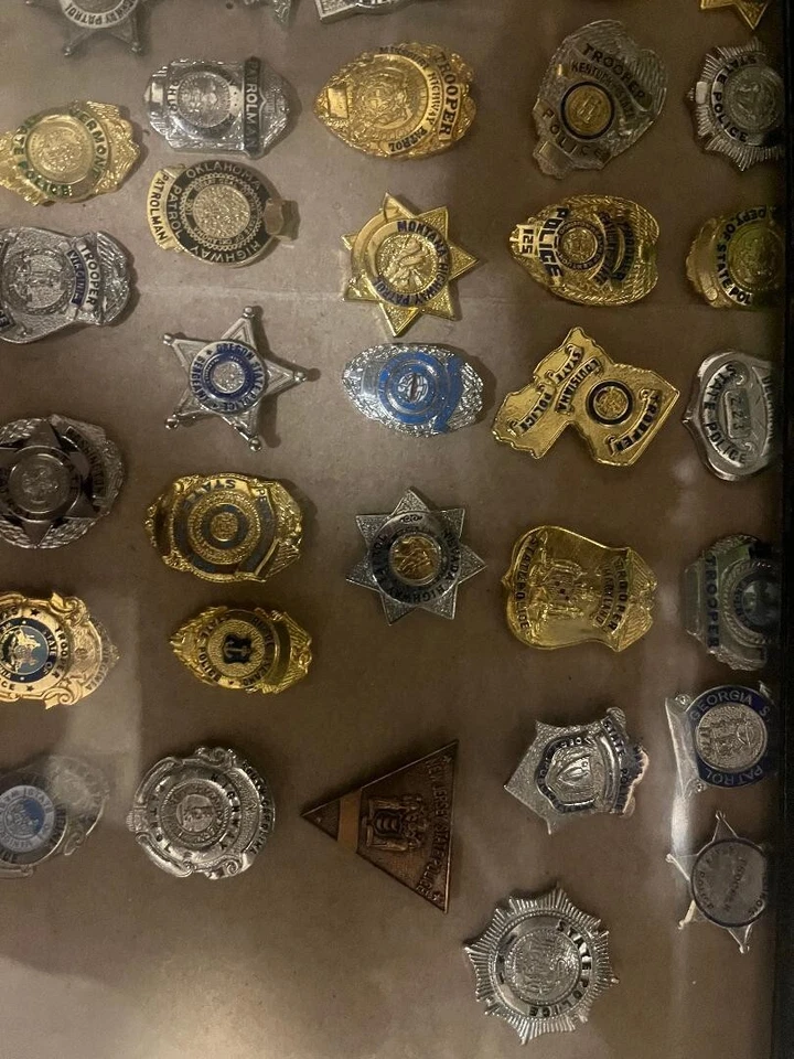 Коллекция значков полиции штата Mini — очень подробные - Изображение 3 из 3