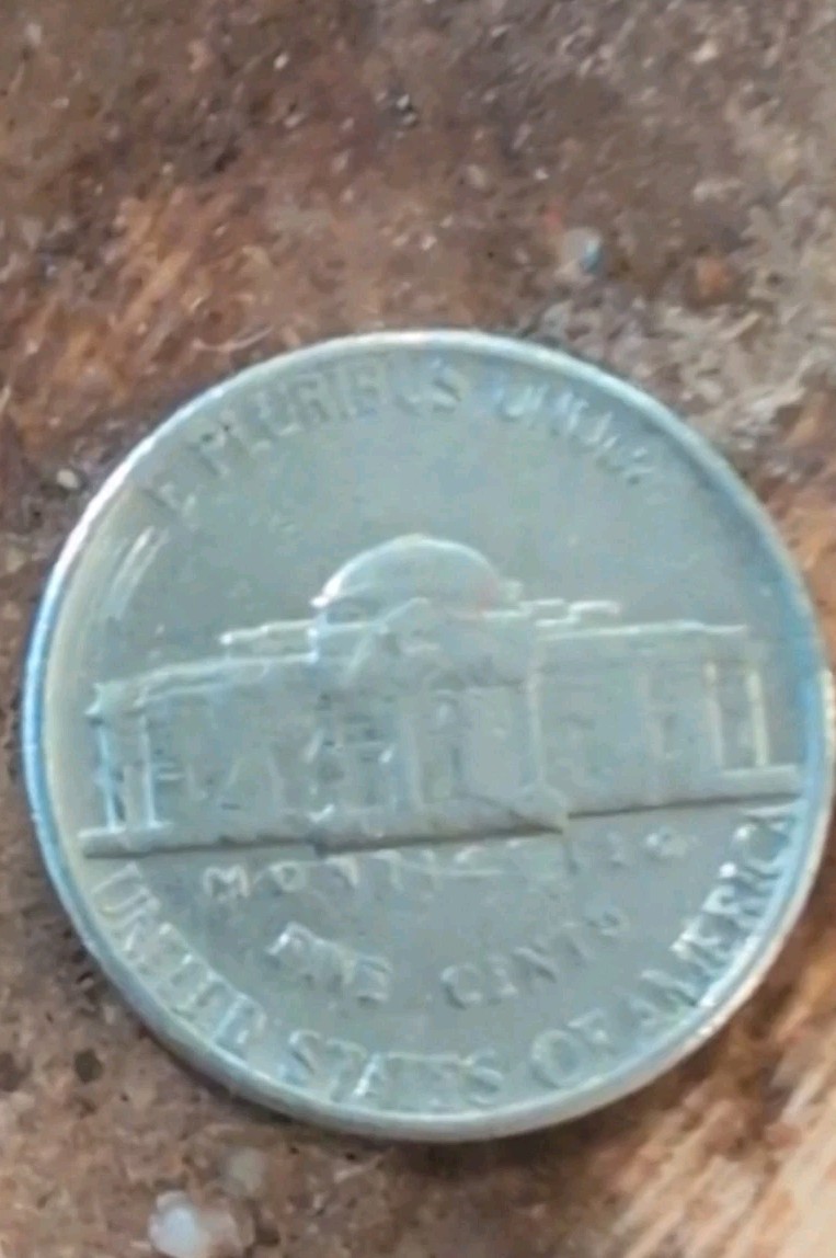 Picture 7 of 10