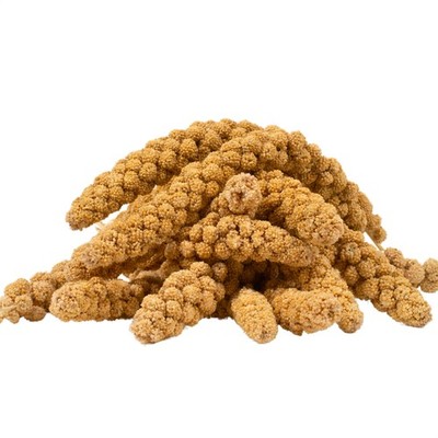 5 kg Kolbenhirse gelb Vogelfutter handverlesen Kanarien Wellensittich Lyra Pet 