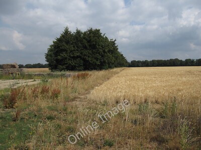 Foto 12x8 Boyton Gürtel Dullingham mit einer reifen Gerstenernte. Siehe [[1693216]] um 2010