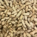 Monkey Nuts Nut In Shell Wild Bird Hamster Indoor Birds Parrots Various Sizes