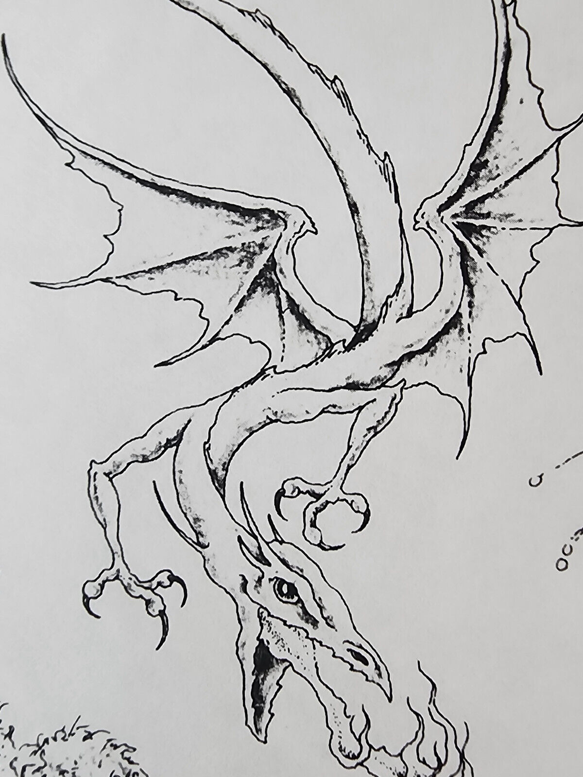 Picture 4 of 12