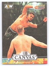 2023 Upper Deck AEW #C17 Darius Martin UD Canvas