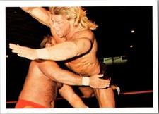 Lex Luger v Arn Anderson #93 NWA 
