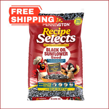Pennington Black Oil Sunflower Bird Seed 20 lb Wild Bird Feed Outdoor