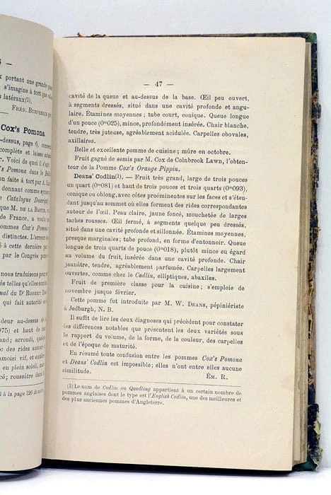 Bulletins d'arboriculture de floriculture et de culture potagère Gand 1889 - Photo 4/4