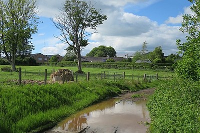 Photo 6x4 Aftermath of Rain Woodville Feus After a prolonged dry spell, i c2017