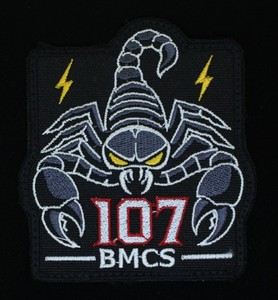 USAF 107th Battle Management Control Squadron (107 BMCS) Patch NP-4