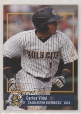 2018 Grandstand Charleston RiverDogs Carlos Vidal 0kz8