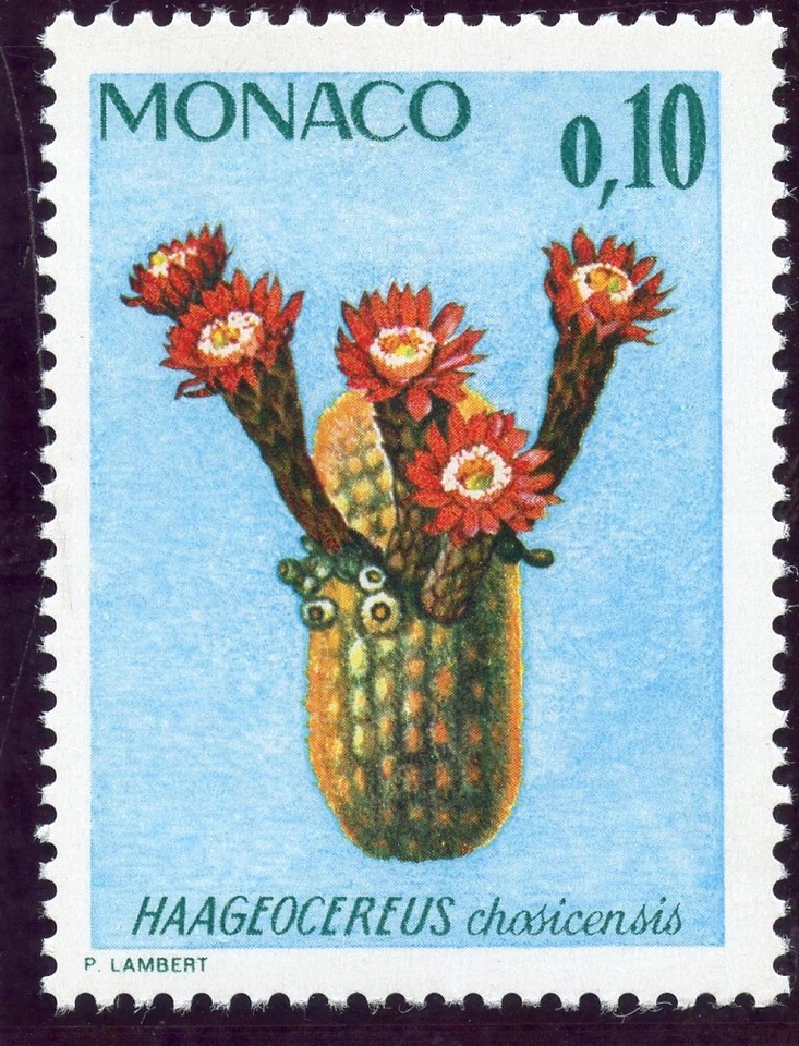 STAMP / TIMBRE DE MONACO N° 997 ** FLORE / PLANTES DU JARDIN EXOTIQUE - Photo 1/1