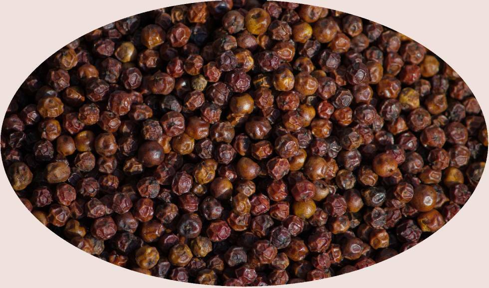 Peperoncino rosso di Kampot - 1kg - Eder Spices Spice