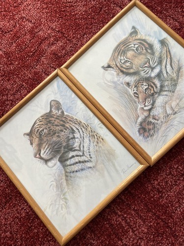 2 Vintage RUANE MANNING Lion Tiger Prints Bamboo Framed Mother Tiger Cub 10 x 8” - Picture 11 of 12