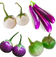 Eggplant Seeds(White+Purple Round/Long Purple/Green Thai) Cà Pháo/ Cà tím/Cà dĩa