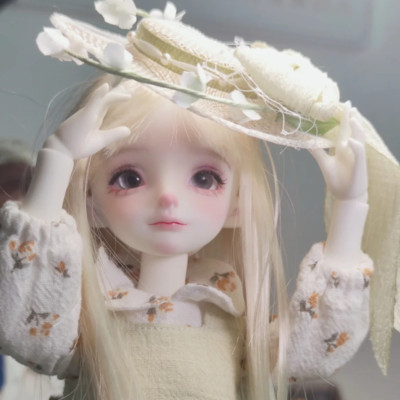 Bare Doll 1/6 BJD Doll SD Resin Jointed Elf Ears Girl Face Makeup Handmade Gift
