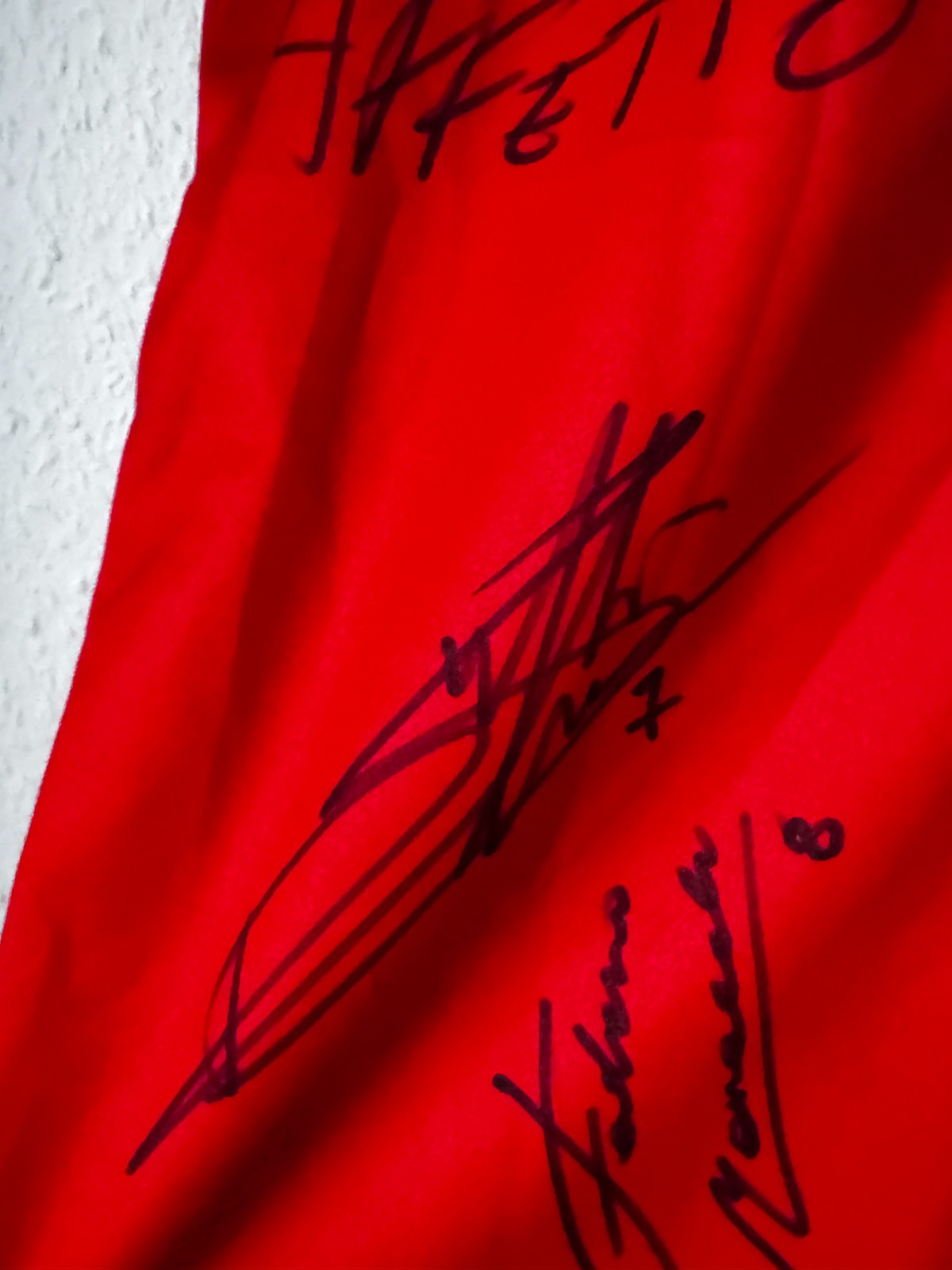 Authentic Signed HS Sportswear "CARMINE" # image 10