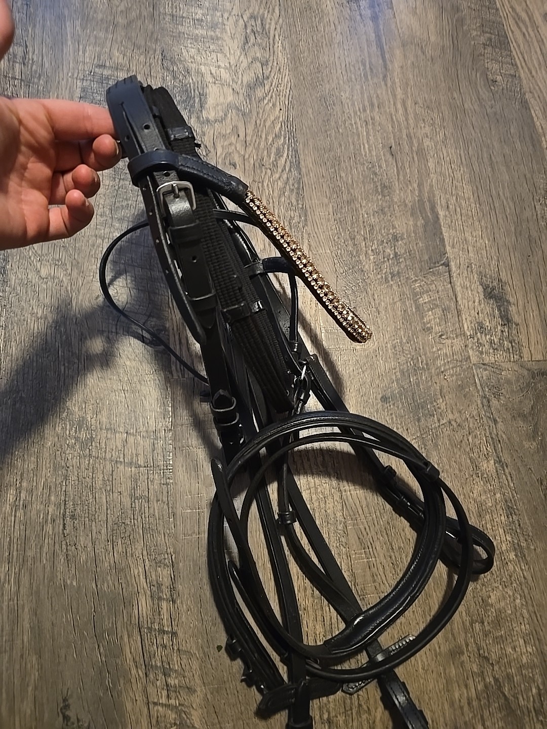 Dressage Bridle