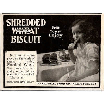 The Natural Food Co Split Toast Enjoy Niagara Falls NY 1903 Clipping SAI4-1
