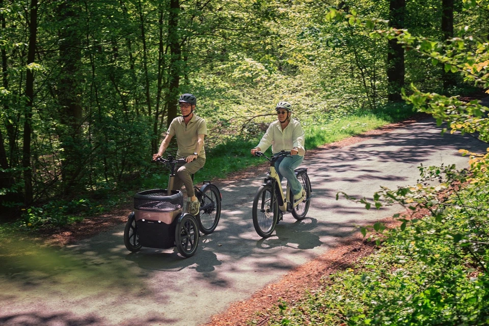 Elektrisches Van Raam Thuja Dreirad für Erwachsene NEU - Bild 3 von 4