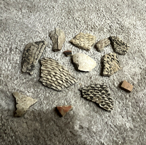 Lot of Unidentified Pottery Sherd Fragment Pieces