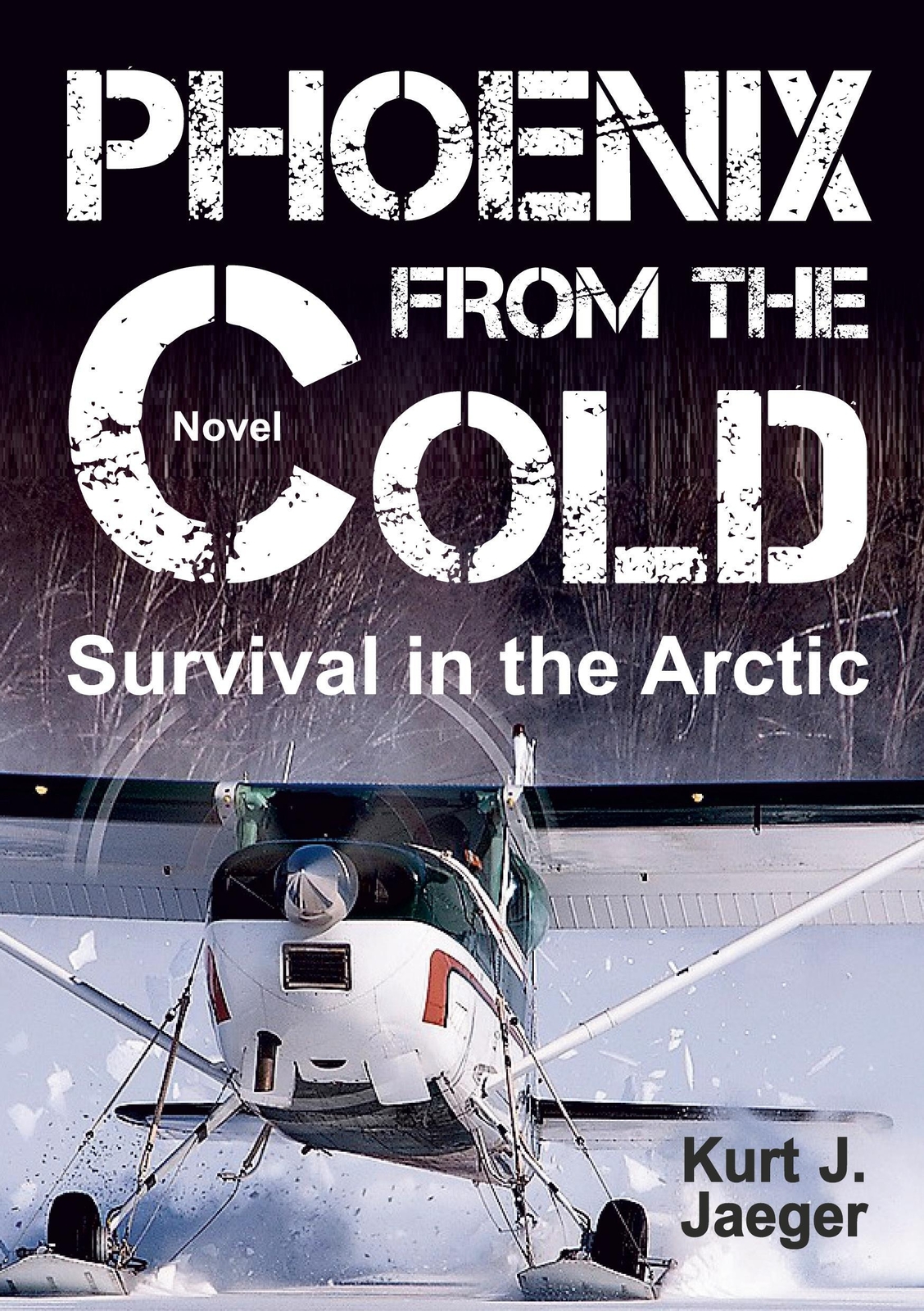 Kurt Jaeger | Phoenix From The Cold | Buch | Englisch (2021) |