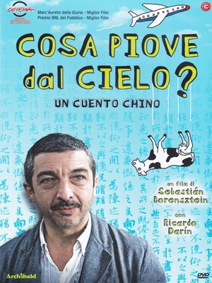 DVD WAS REGNET VOM HIMMEL mit Ricardo Darin neu versiegelt 2011