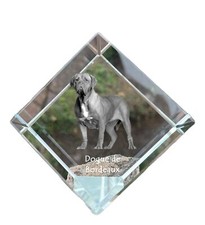 Bordeauxdogge,Dogue de Bordeaux - Kristallwürfel Avec Image,Image Cheval Dans