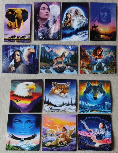 13 Kunstpostkarten Motivpostkarten Adler Indianer Puma Wolf Wölfe Meiklejohn