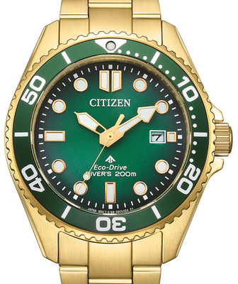 Armbanduhr Citizen BN0262-59W Promaster Eco-Drive NEU