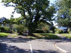 Photo 12x8 Godfreys Wood, Melton Woodbridge/TM2649 At the junction with B c2011