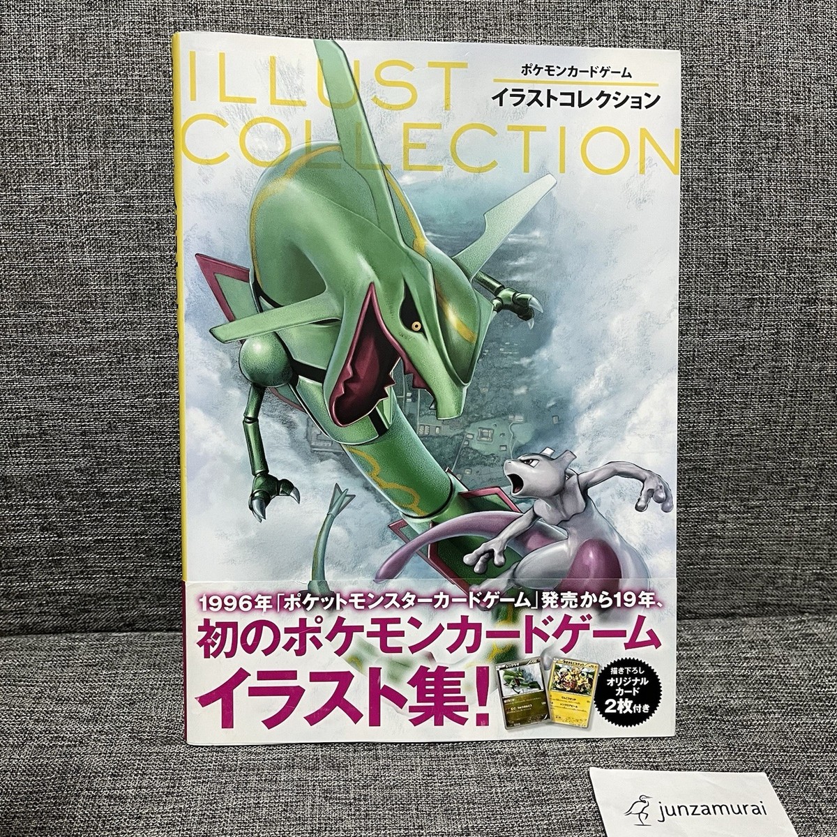 Pokemon Trading Card Game Illustration Collection Art Book