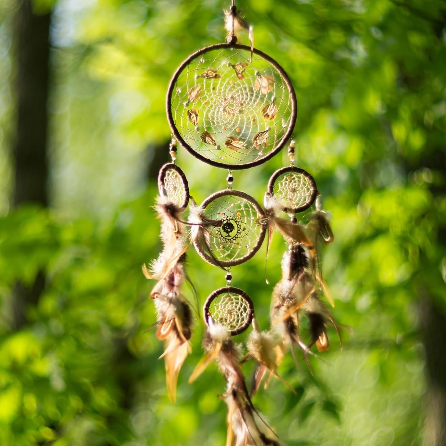 6 Pieces 8 Inch Embroidery Hoop with Metal Screw, Round Embroidery Hoops Set,...