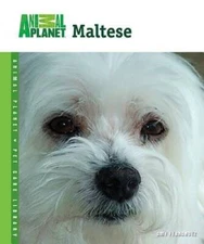 Maltese (Animal Planet Pet Care Library) - Hardcover By Fernandez, Amy - GOOD
