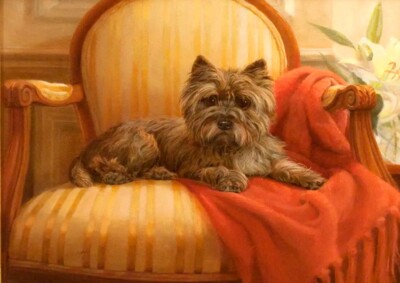 CAIRN TERRIER CUTE DOG ON CHAIR GREETINGS NOTE CARD