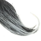 Bild 8 von 12