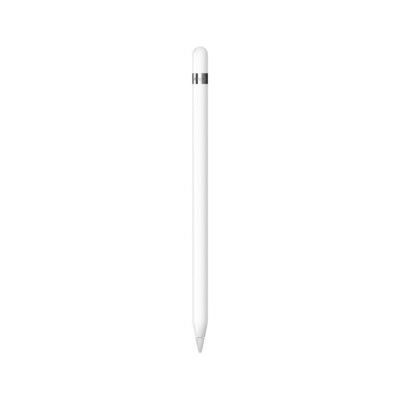 Apple Pencil 1. Generation 2015 weiß Sehr Gut   Wie Neu Original