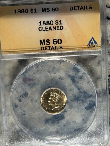 1880 $1 Gold US Coin - Indian Princess Head, Large Head MS60