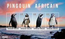 Togo 2014 - African Penguins - Sheet of 4 stamps - MNH