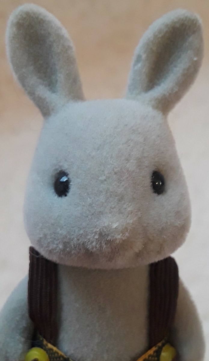 シルバニア⭐️The Babblebrooks' New Arrival⭐️ New】Sylvanian