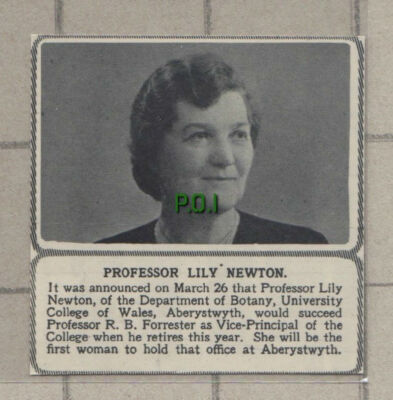 C777) Prof Lily Newton University College Wales Aberystwyth Botany 1951 Cutting