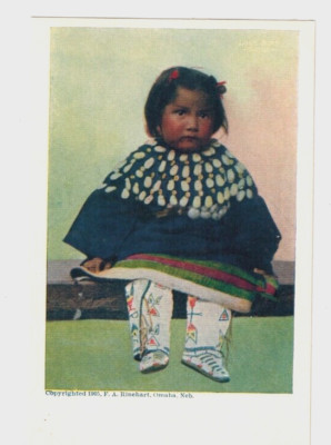 ''Lost Bird''  Vintage Native American Postcard-Mint Unposted-1905 image