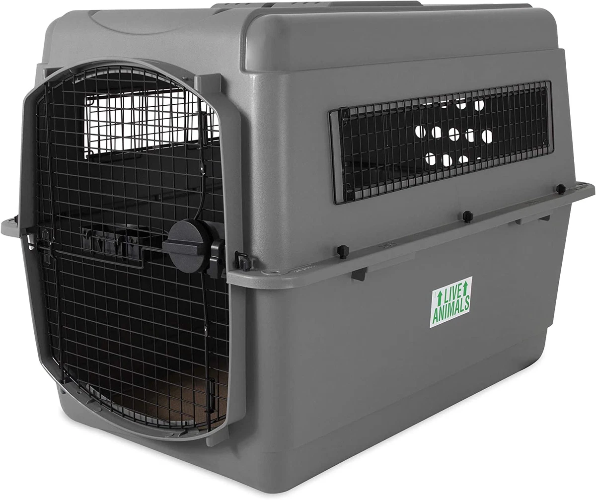 Petmate top dog kennel