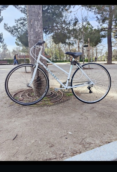 bicicleta carretera