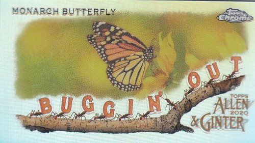 2020 Allen and Ginter Chrome (Topps) Baseball "Buggin Out" Mini Insert Cards - Bild 1 von 35