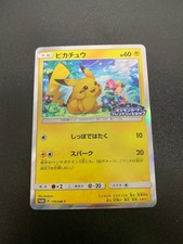 Friendly Shop Pikachu #249/SM-P Prices | Pokemon Japanese Promo