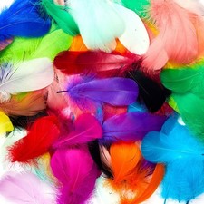 Colorful Craft Feathers 800pcs Assorted 3-5 Inches for DIY