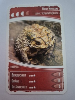 Sammelkarte ''Netto Ozeanien 11'' NEU Nr. 98 Amer. Schaufelfußkröte